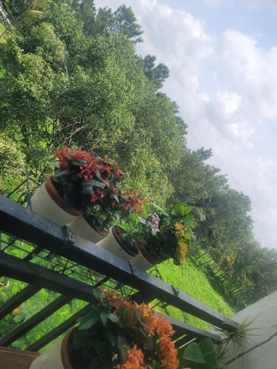 Serene Home Stay Bengaluru Kültér fotó